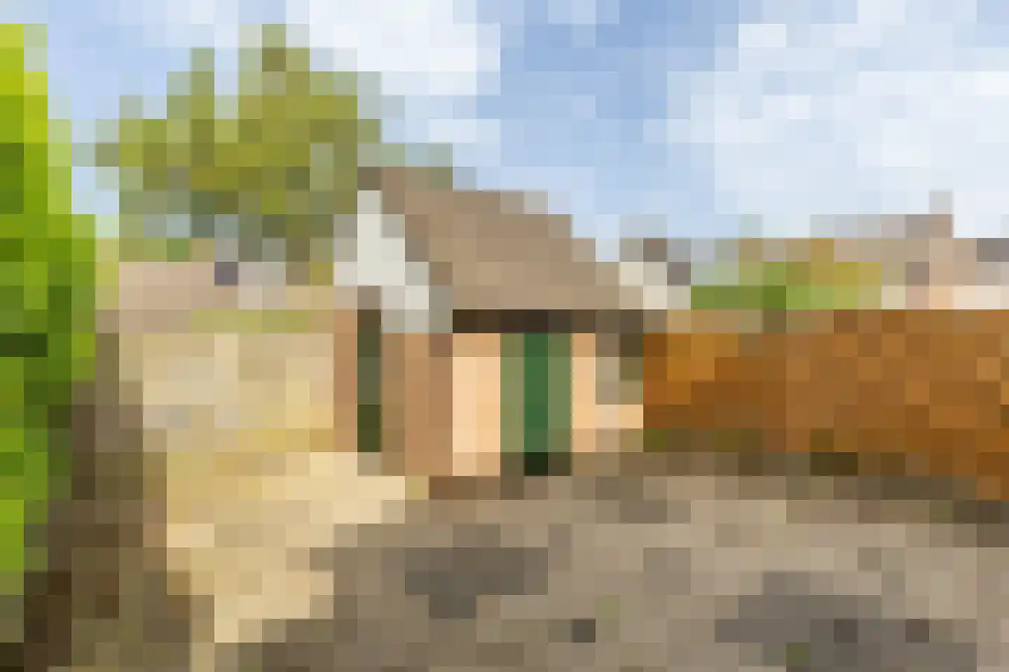 Anemoonpad 29 's-Gravendeel thumbnail 5