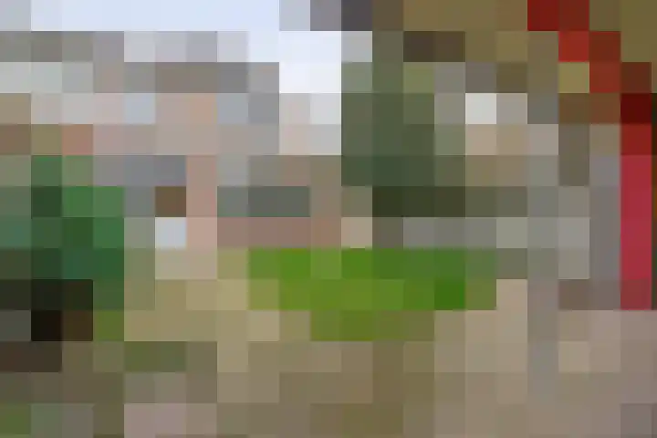 Anemoonstraat 1 Waalwijk thumbnail 17