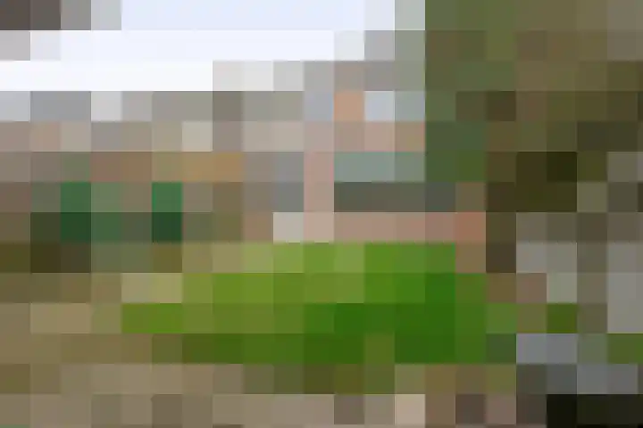 Anemoonstraat 1 Waalwijk thumbnail 18