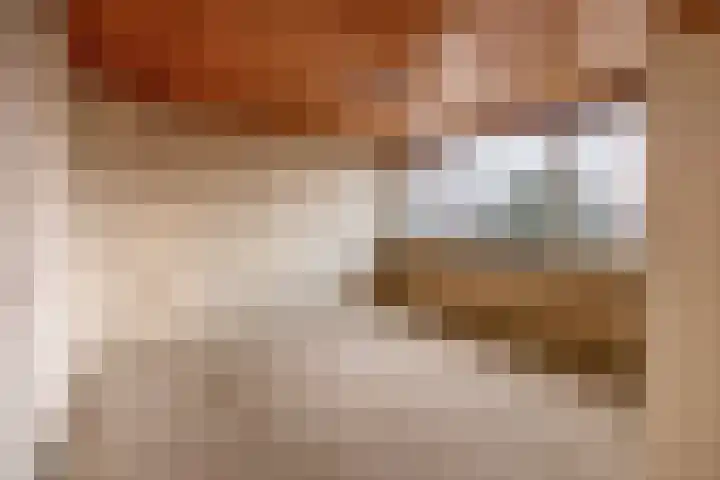 Anemoonstraat 1 Waalwijk thumbnail 21