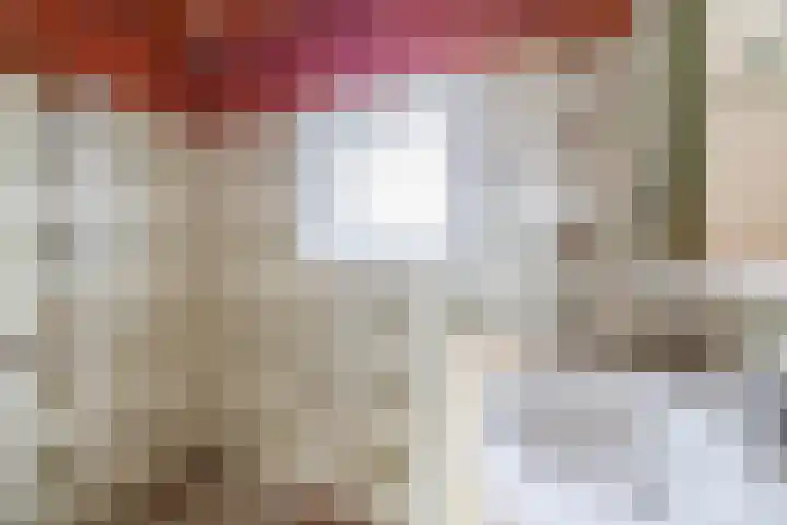 Anemoonstraat 1 Waalwijk thumbnail 24