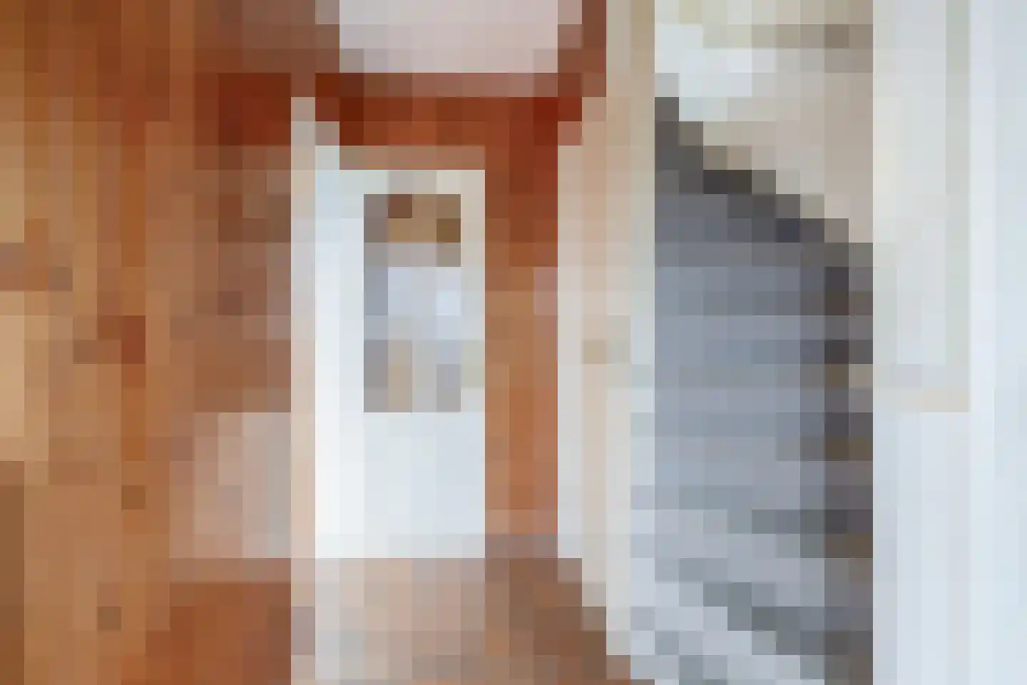 Anemoonstraat 1 Waalwijk thumbnail 4