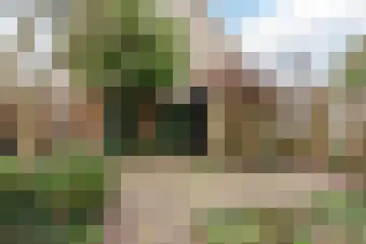 Anemoonstraat 10 Voorhout thumbnail 36