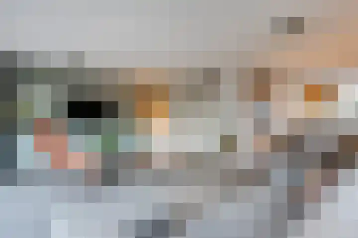 Anemoonstraat 10 Voorhout thumbnail 4