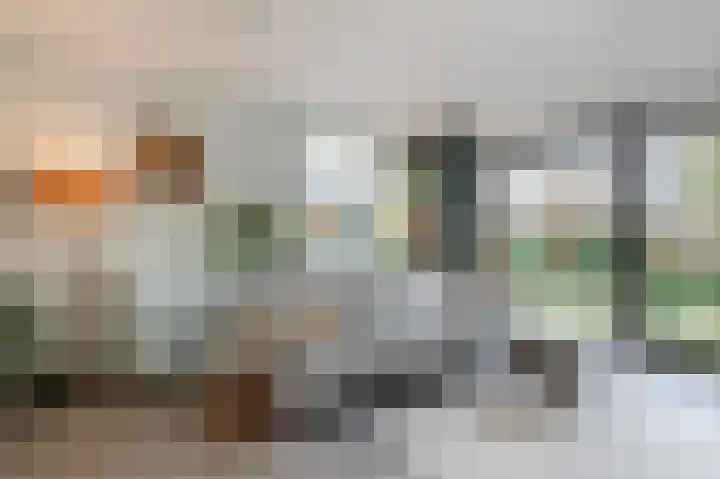 Anemoonstraat 10 Voorhout thumbnail 6