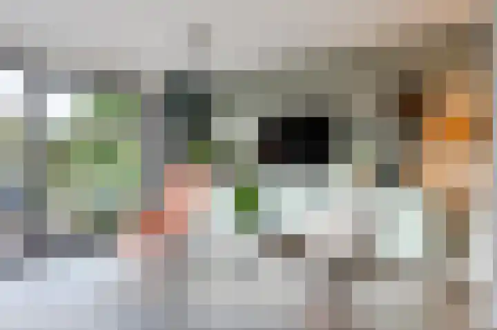 Anemoonstraat 10 Voorhout thumbnail 7