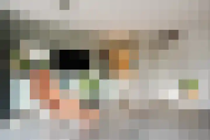 Anemoonstraat 10 Voorhout thumbnail 8