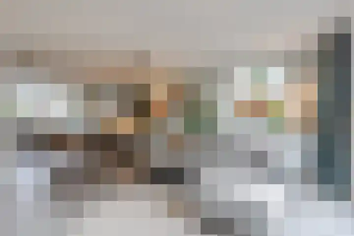 Anemoonstraat 10 Voorhout thumbnail 9