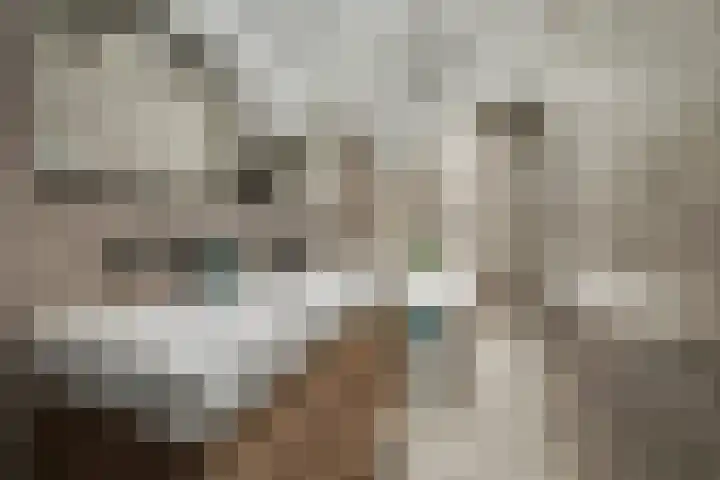 Anemoonstraat 10 Winterswijk thumbnail 4