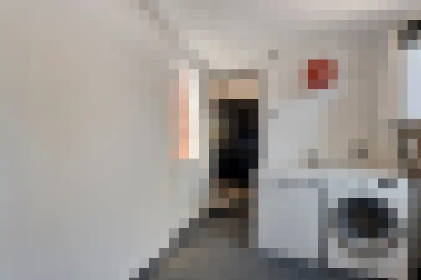 Anemoonstraat 100 Hoogeveen thumbnail 15