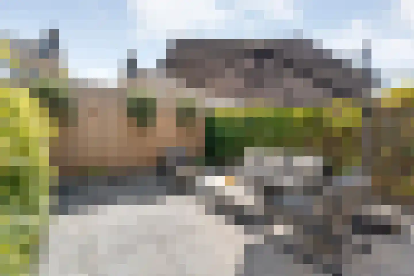 Anemoonstraat 100 Hoogeveen thumbnail 19