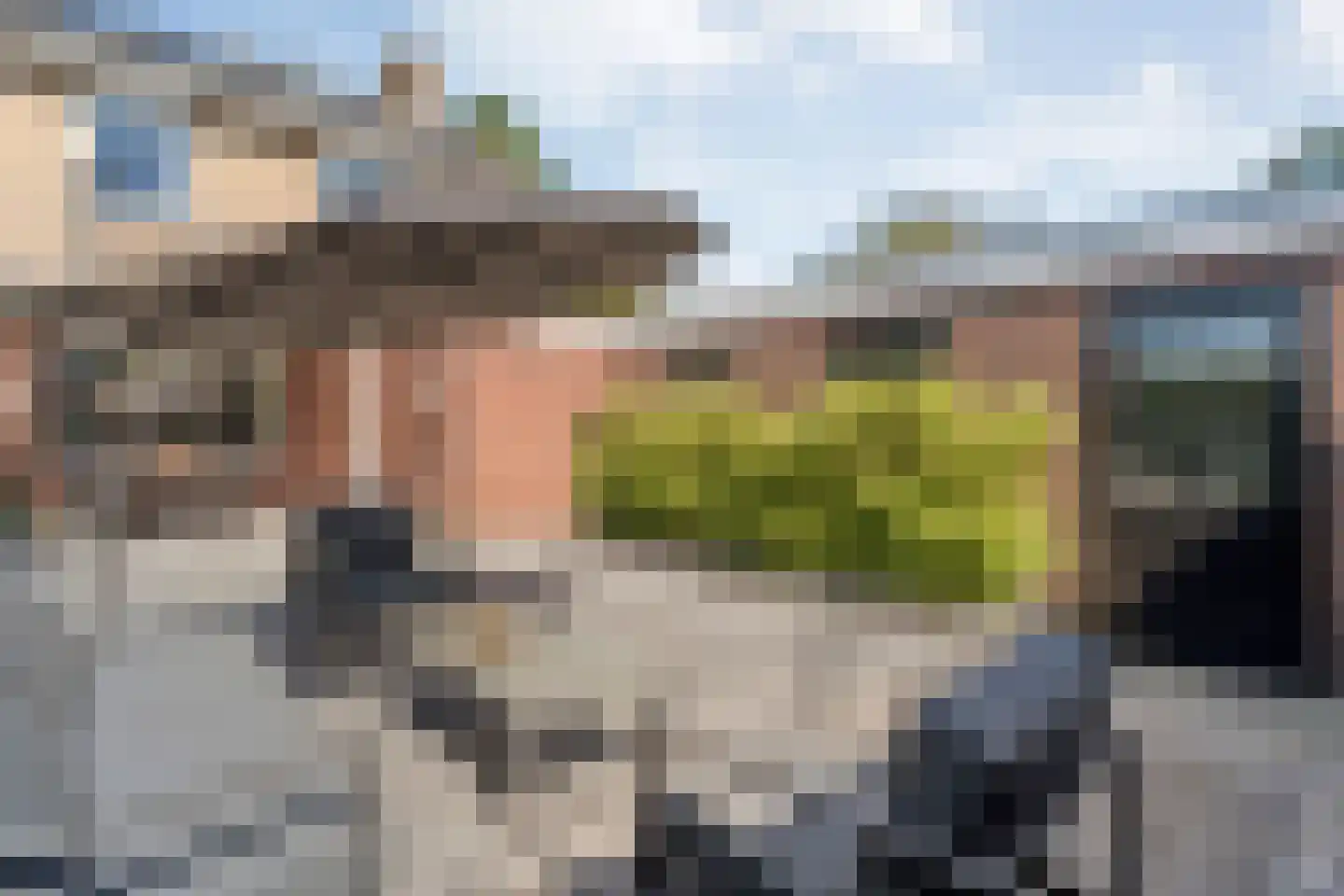 Anemoonstraat 100 Hoogeveen thumbnail 20