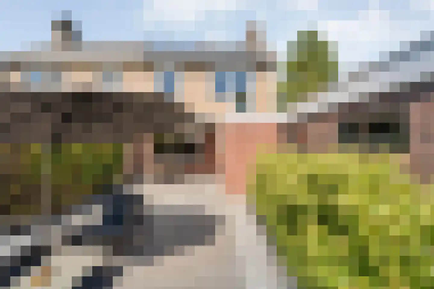 Anemoonstraat 100 Hoogeveen thumbnail 21