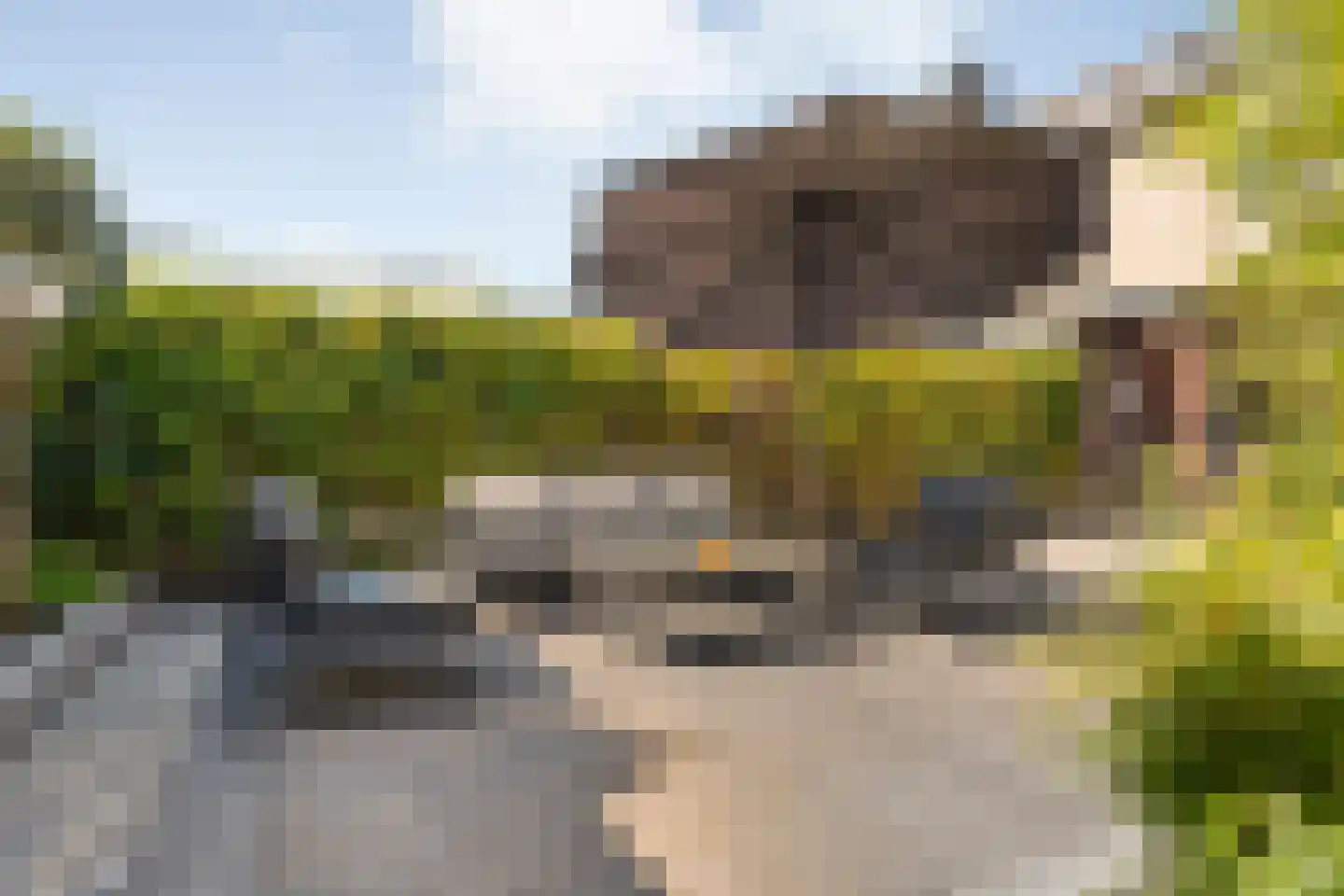 Anemoonstraat 100 Hoogeveen thumbnail 22