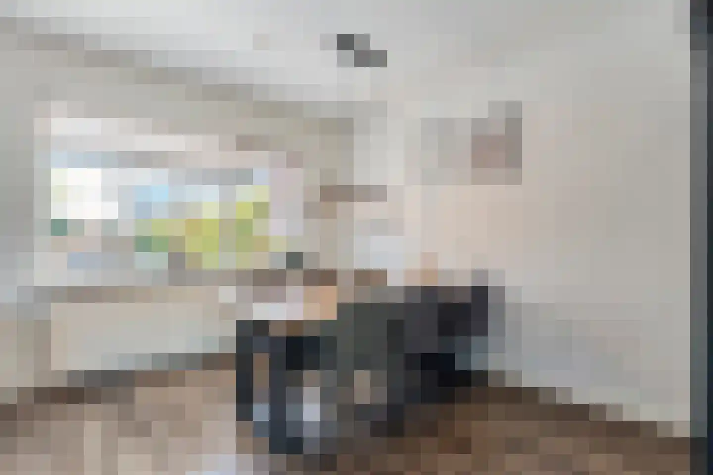 Anemoonstraat 100 Hoogeveen thumbnail 5