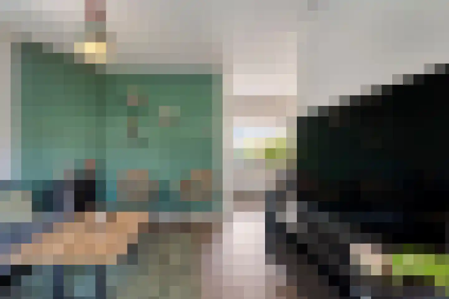 Anemoonstraat 100 Hoogeveen thumbnail 8
