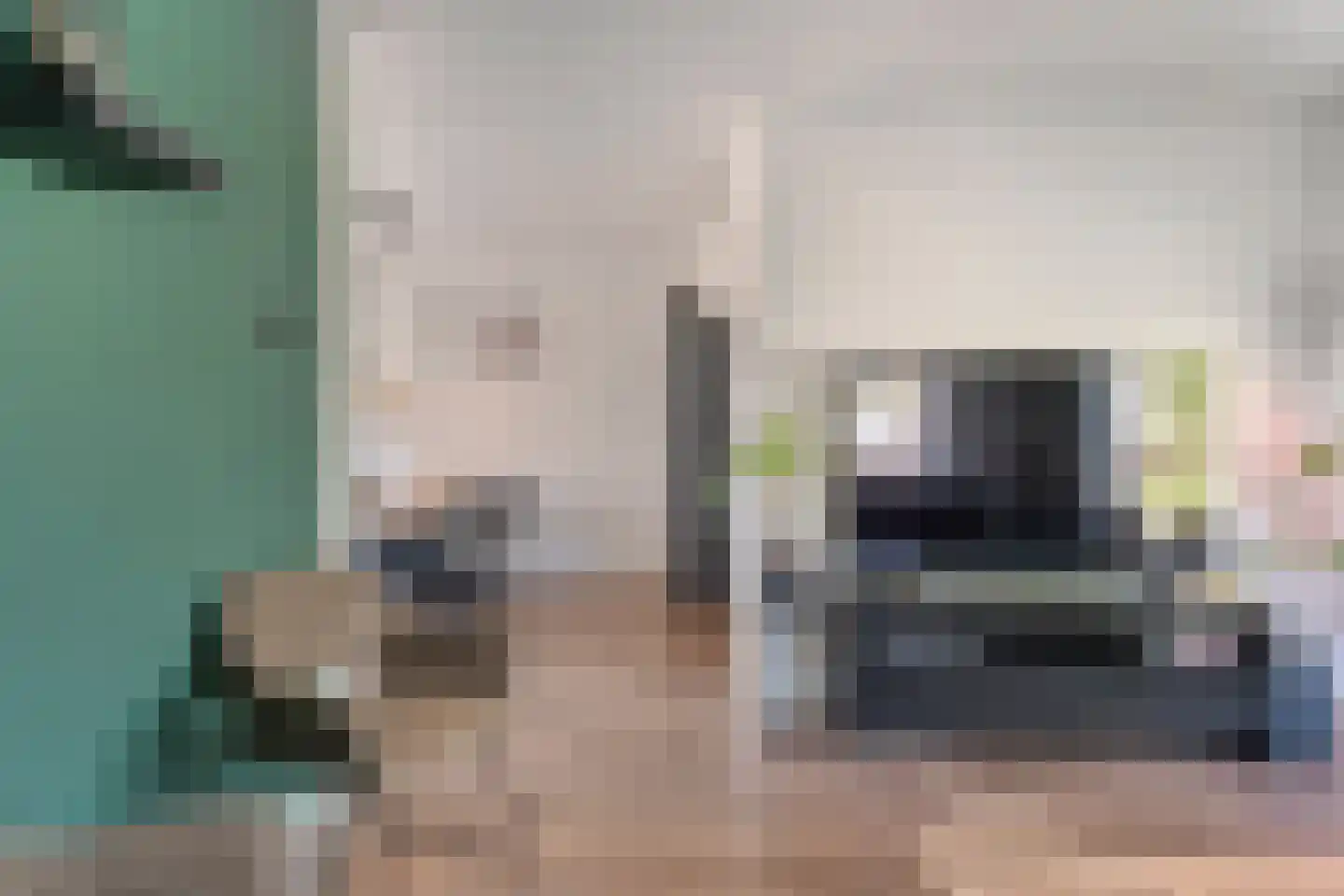 Anemoonstraat 100 Hoogeveen thumbnail 9