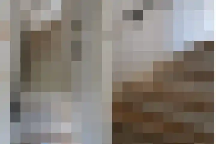 Anemoonstraat 12 Almelo thumbnail 13