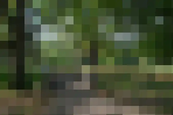 Anemoonstraat 12 Almelo thumbnail 23