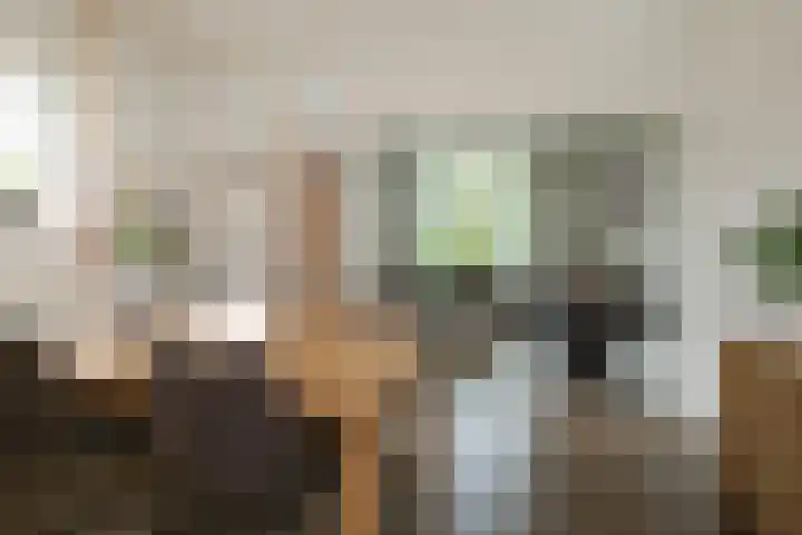 Anemoonstraat 12 Almelo thumbnail 9