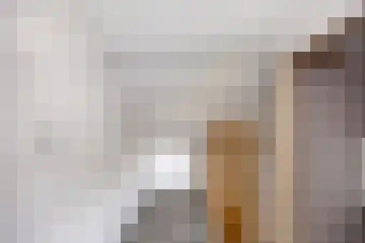 Anemoonstraat 13 Waalwijk thumbnail 17