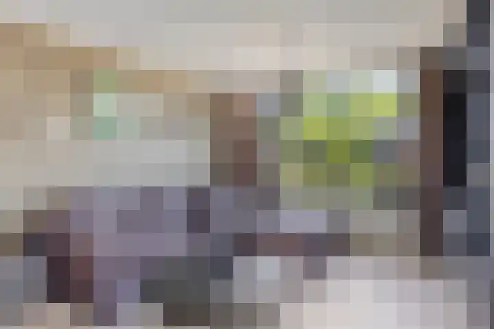 Anemoonstraat 13 Waalwijk thumbnail 4