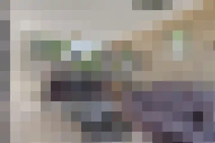 Anemoonstraat 13 Waalwijk thumbnail 5