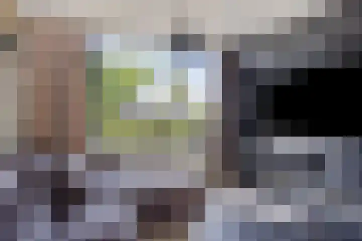 Anemoonstraat 13 Waalwijk thumbnail 6