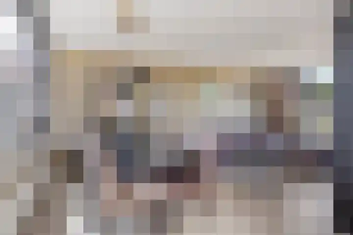 Anemoonstraat 13 Waalwijk thumbnail 7