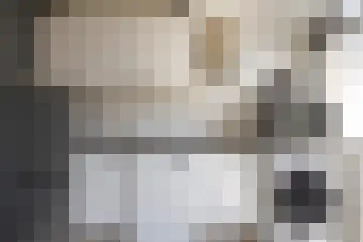 Anemoonstraat 13 Waalwijk thumbnail 8