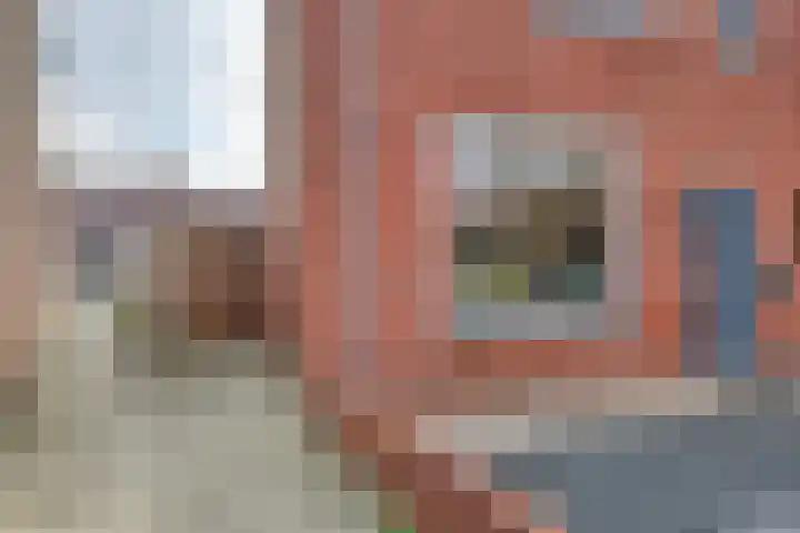 Anemoonstraat 14 Almelo thumbnail 4