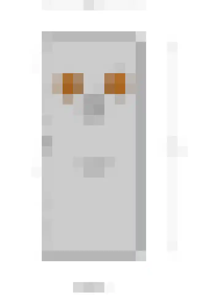 Anemoonstraat 14 Almelo thumbnail 46