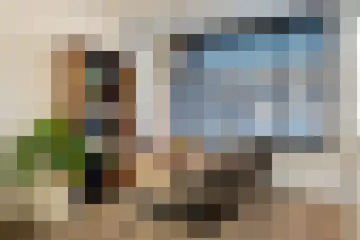 Anemoonstraat 14 Putte thumbnail 10