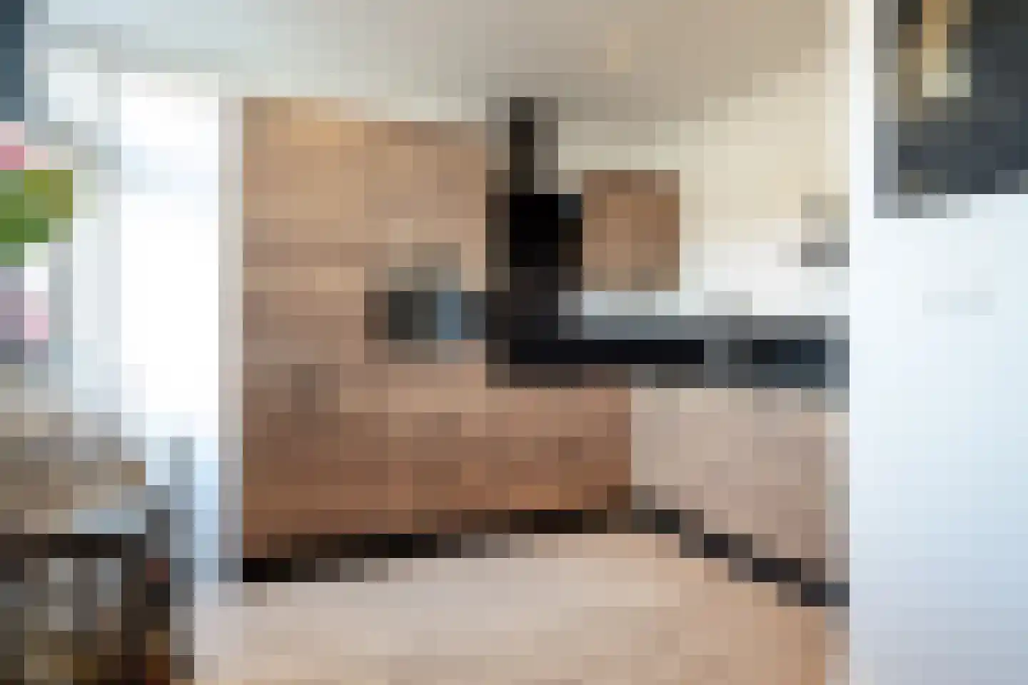 Anemoonstraat 14 Putte thumbnail 13