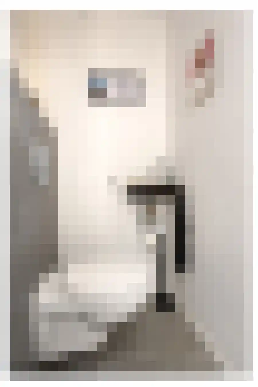 Anemoonstraat 14 Putte thumbnail 16