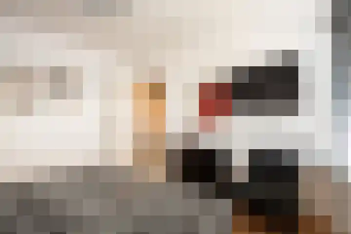 Anemoonstraat 14 Putte thumbnail 19