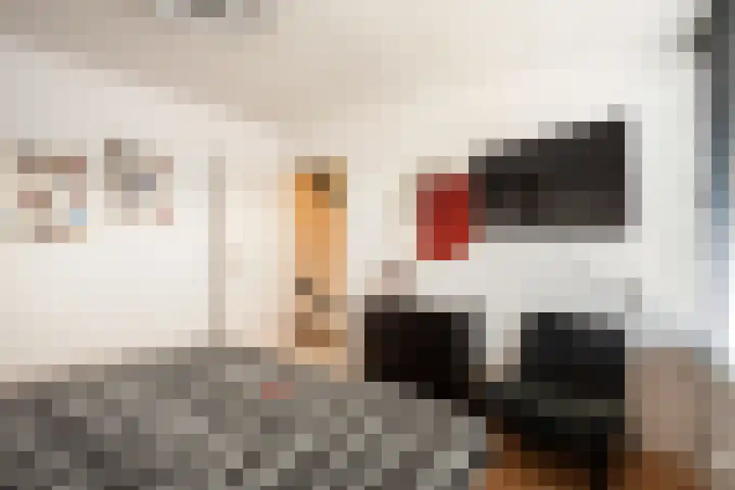 Anemoonstraat 14 Putte thumbnail 19