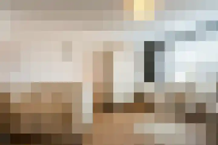 Anemoonstraat 14 Putte thumbnail 20