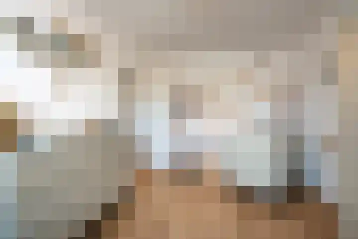 Anemoonstraat 14 Putte thumbnail 21