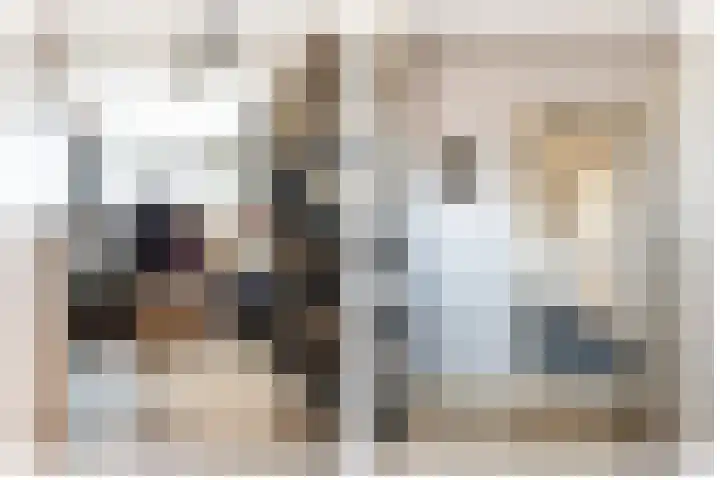 Anemoonstraat 14 Putte thumbnail 22