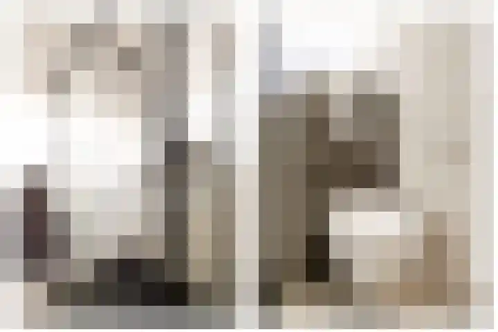 Anemoonstraat 14 Putte thumbnail 24