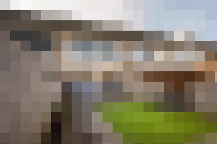 Anemoonstraat 14 Putte thumbnail 28