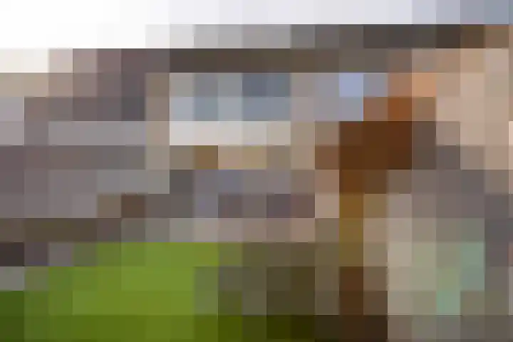 Anemoonstraat 14 Putte thumbnail 29