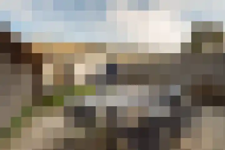 Anemoonstraat 14 Putte thumbnail 30