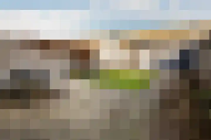 Anemoonstraat 14 Putte thumbnail 31