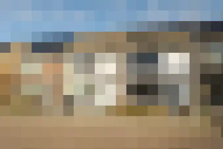 Anemoonstraat 14 Putte thumbnail 32