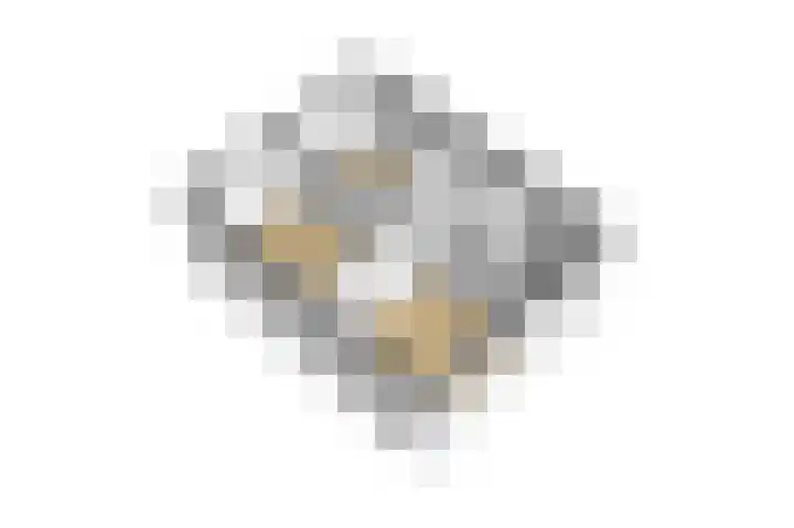 Anemoonstraat 14 Putte thumbnail 41
