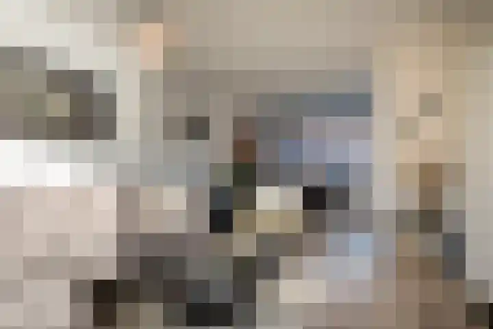 Anemoonstraat 14 Putte thumbnail 5