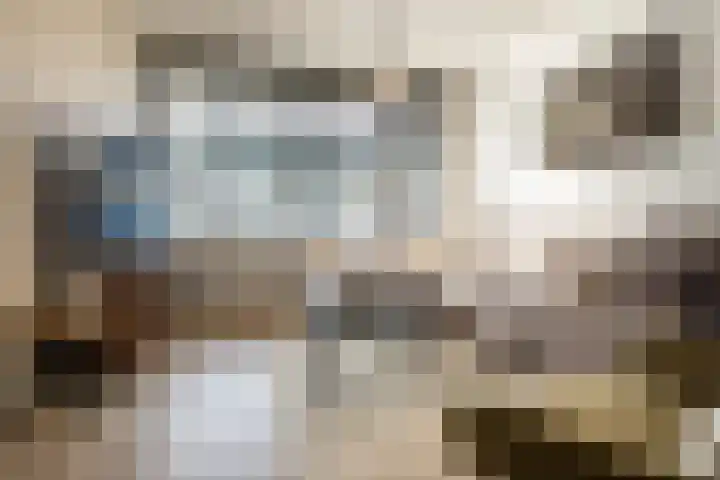 Anemoonstraat 14 Putte thumbnail 6