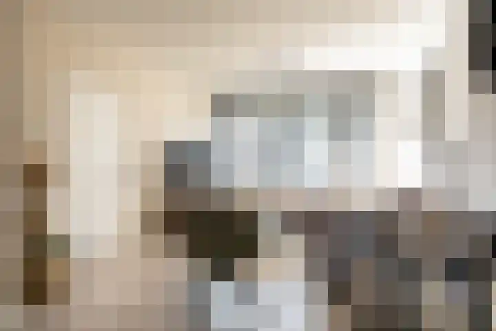 Anemoonstraat 14 Putte thumbnail 7